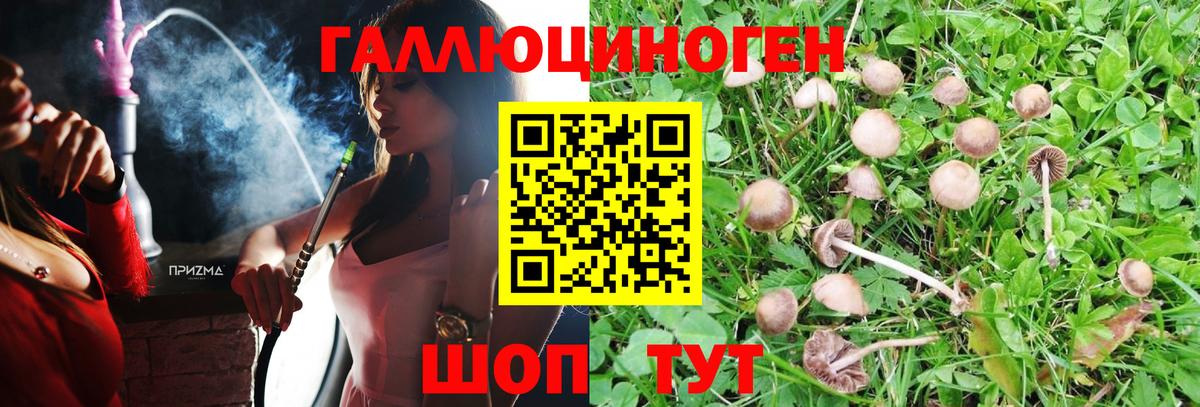 Чусовой  Галлюциногенные грибы Psilocybe  Галлюциногенные грибы мухоморы  Вход с VPN 