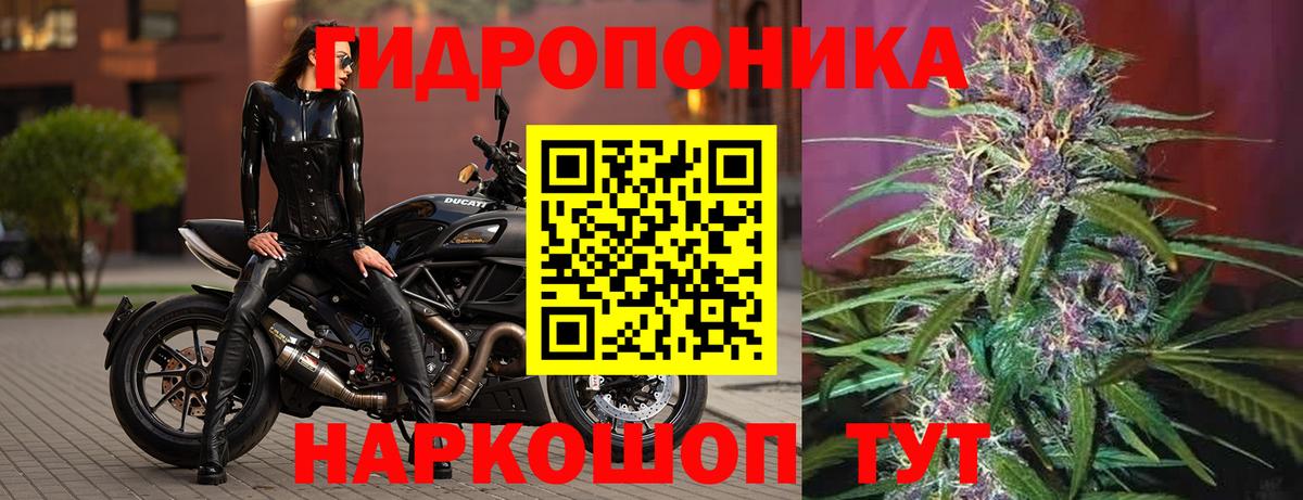 МАРИХУАНА семена Чусовой